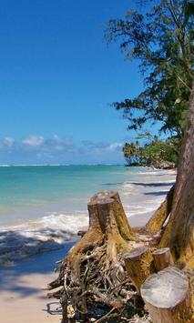 Beach Wallpaper screenshot 5