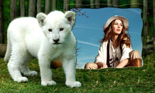 Lion Photo Frames screenshot 10