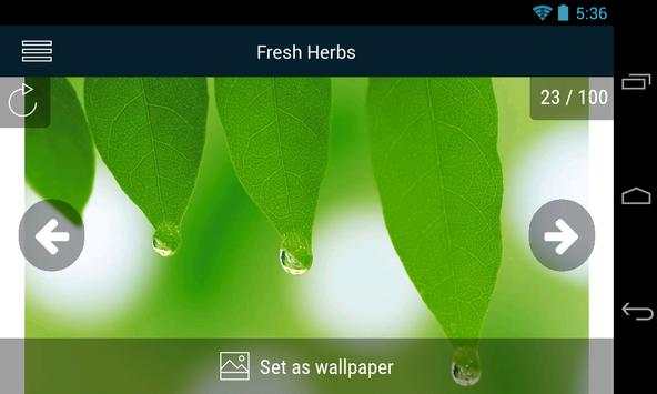 Fresh Herbs Wallpapers screenshot 3