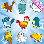 Birds giochi memoria bambini ! icon