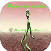 dame tu cosita 1.0