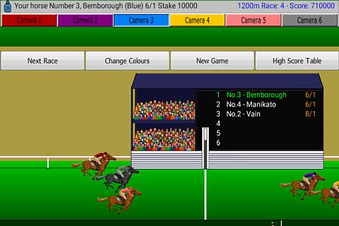 Flat Race Horse Racing screenshot 3