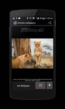 Ufone Animal Wallpapers screenshot 6