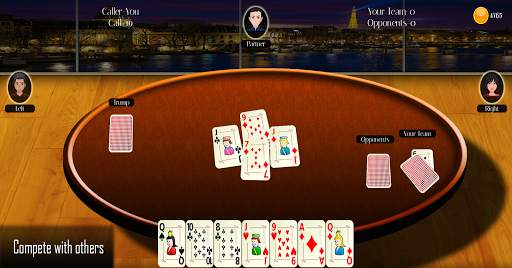 29 Card Game ( Offline   Online ) screenshot 7