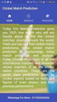 IPL Match Prediction screenshot 1