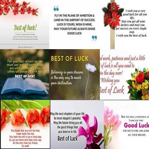 Best of Luck Wishes Greetings All the Best screenshot 2