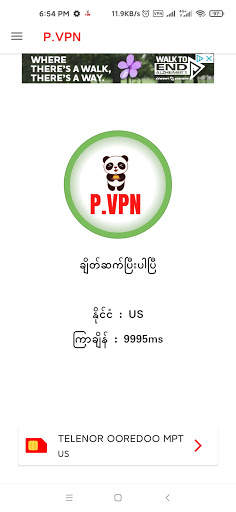 P-VPN screenshot 3