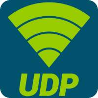 UDP Sender on 9Apps