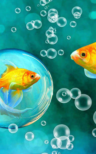 HD Ocean Fish Live Wallpaper screenshot 8