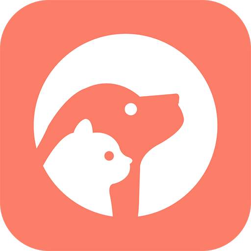 XPet 21.06.28