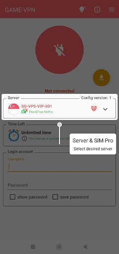 P-VPN screenshot 2