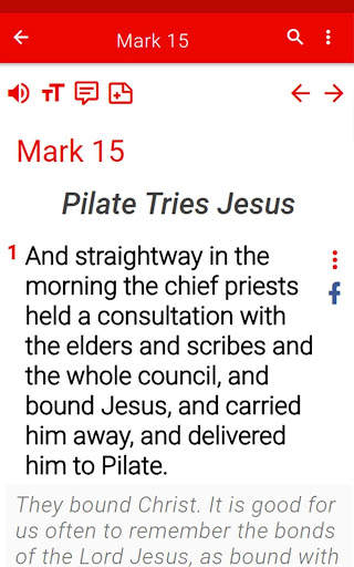 Study Bible 📖 screenshot 14