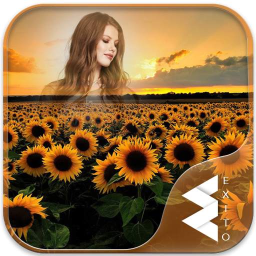 Sunflower Photo Frames 1.15