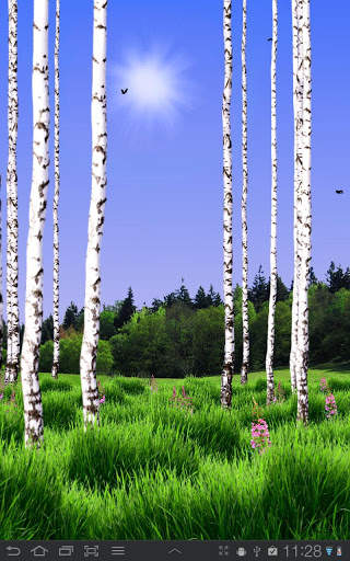 Birch Wood Free LWP screenshot 4