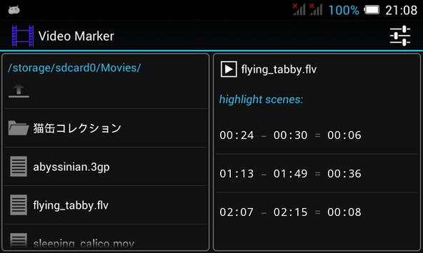 Video Marker screenshot 2