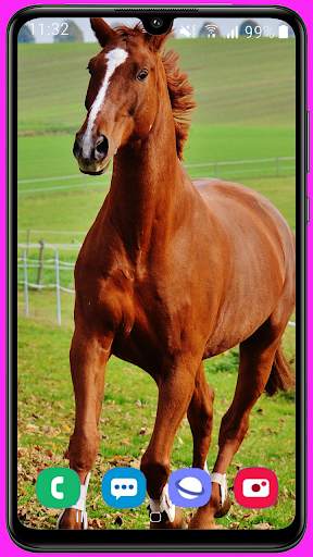 Horse Wallpaper Best HD screenshot 1