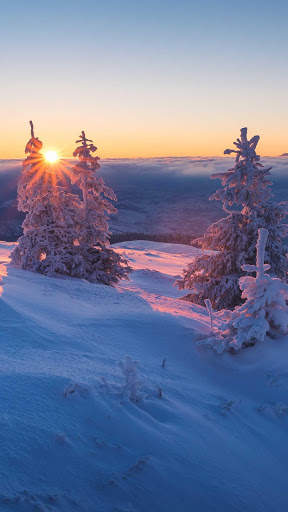 Winter Wallpapers : backgrounds hd screenshot 2