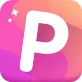 PIP Grid 1.0.0