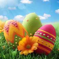 Easter Egg Wallpaper on 9Apps