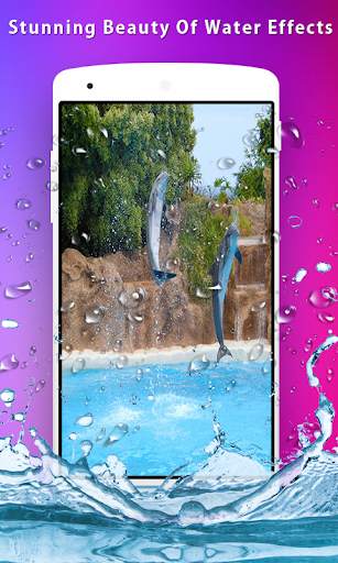 Dolphins Live Wallpaper screenshot 3