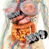 Human Anatomy