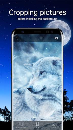 Wolf Wallpapers PRO screenshot 3