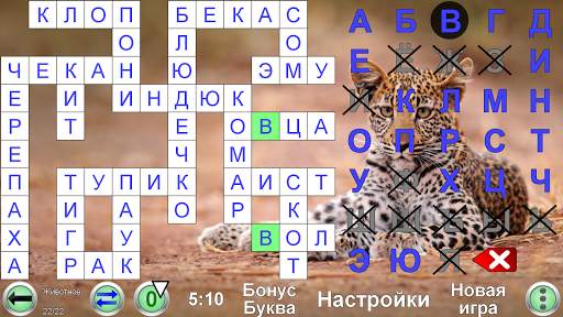 Кроссворд Кодовое Слово скриншот 8
