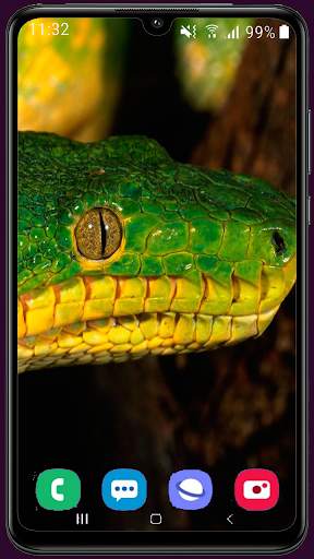 Snake Wallpaper Best HD screenshot 15
