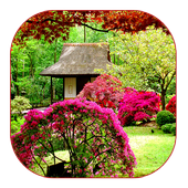 jardín live wallpaper icon
