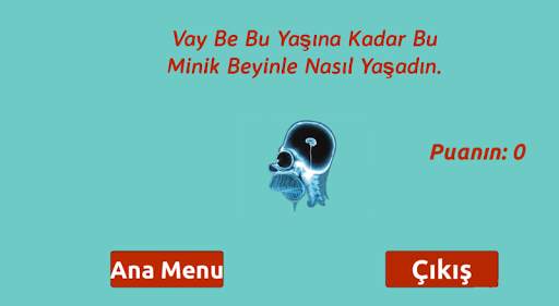 Aptallık Testi screenshot 3