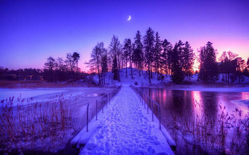 Winter Live Wallpaper (Wallpapers & Backgrounds) screenshot 6