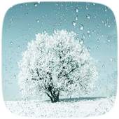 Sonwing Tree Live wallpaper 1.0.0