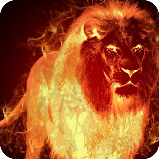 Fire Wallpaper – Fire Lion Backgrounds icon