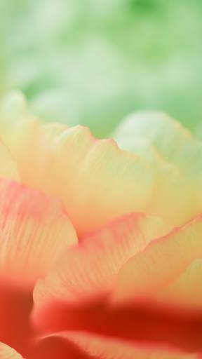 Wallpapers for Samsung S20™ screenshot 1