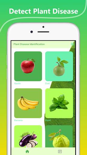 Plant Disease Identification app screenshot 1