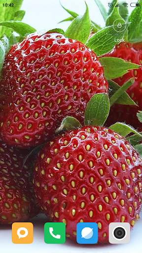 Strawberry Wallpaper HD screenshot 13