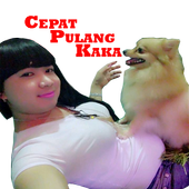 Sexy Girl Stikers WA icon