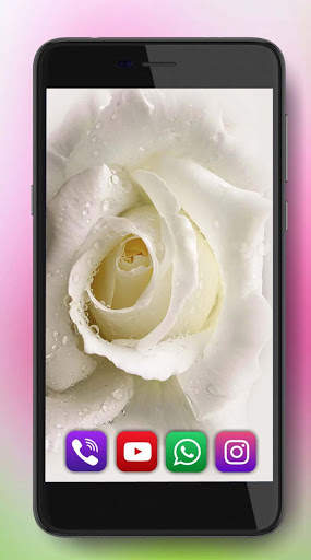 Roses Amazing Live Wallpaper screenshot 3