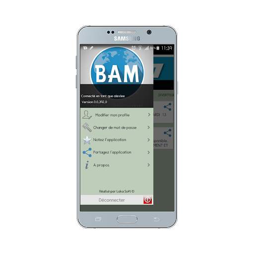 BAM Emploi et Investissement screenshot 4