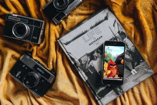 Angry Bird Wallpapers स्क्रीनशॉट 3