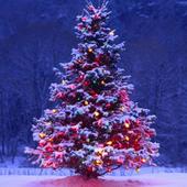 Christmas Hymns icon