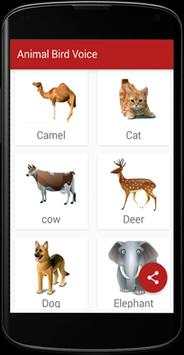 Animal Bird Voice screenshot 2