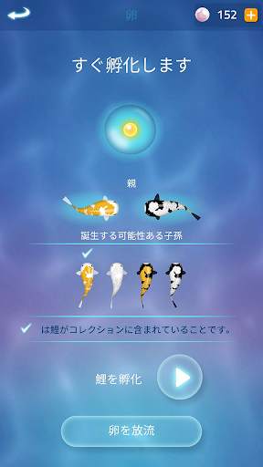 Zen Koi 2 screenshot 8
