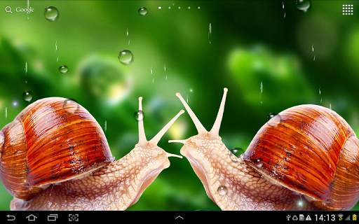 Rain Live Wallpaper screenshot 14