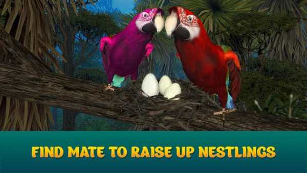 Wild Parrot Sim 3D: Jungle Bird Fly Game screenshot 3