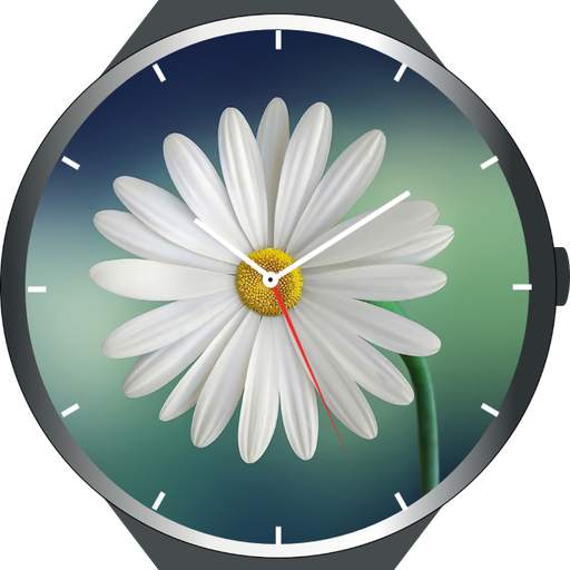 1000  Watch Faces скриншот 11