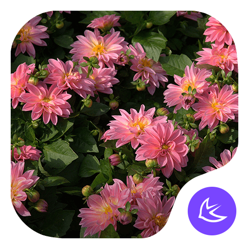 Fleurs|APUS Launcher thème icon