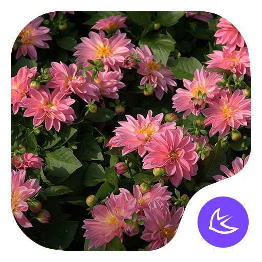 Fleurs|APUS Launcher thème 588.0.1001
