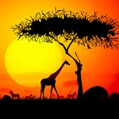 Trees - HD Wallpapers 1.6