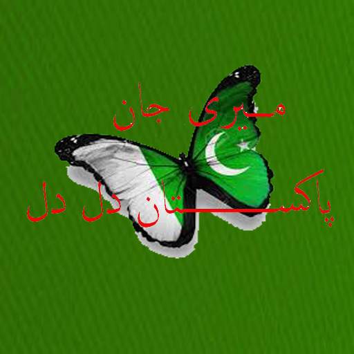 Meri Jan Pakistan Dil Dil 1.2